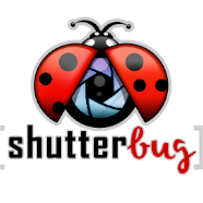 ShutterbugLogo
